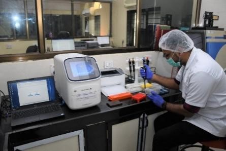 RT PCR